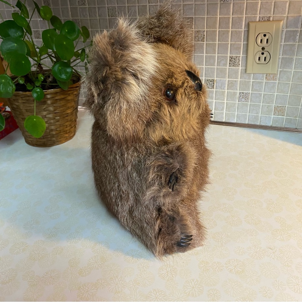 Vintage Australian‎ Koala bear real fur plush stuffed animal Australia realistic - Picture 7 of 8